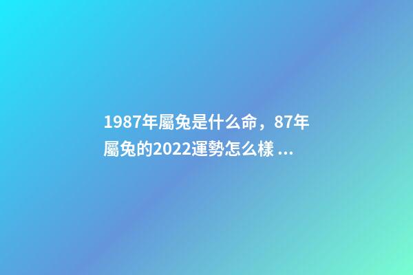 1987年屬兔是什么命，87年屬兔的2022運勢怎么樣 1987年屬兔人2022年運勢運程 1987年屬兔人2022年運勢好不好-第1張-觀點-玄機(jī)派